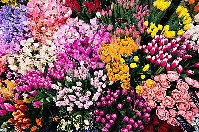 《生化危机9》为何回归浣熊市？想要重拾之前的故事线