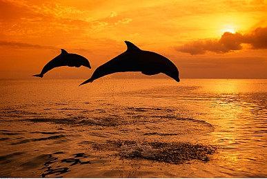 《星球大战：零号连队》可捏人 有永久死亡模式